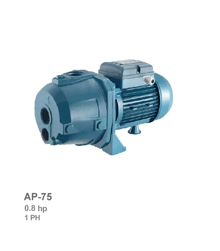 الکتروپمپ خودمکش تکفاز پنتاکس مدل AP-75