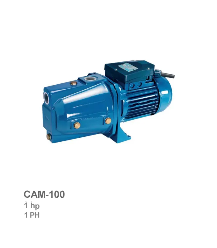 الکتروپمپ خودمکش تکفاز پنتاکس مدل CAM-100