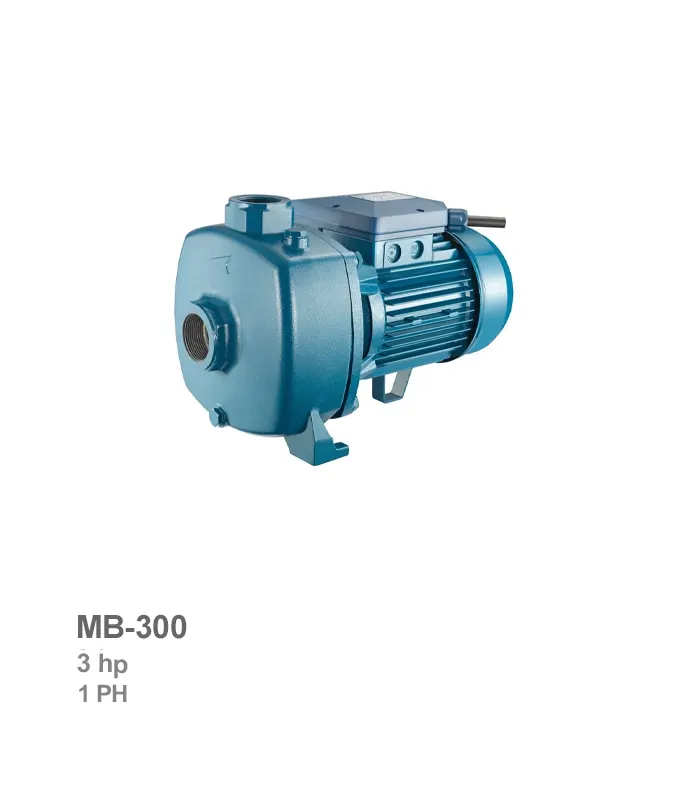 الکتروپمپ دوپروانه تکفاز پنتاکس مدل MB-300