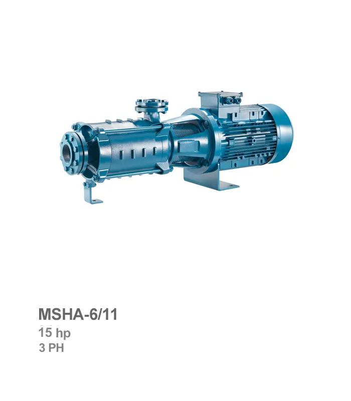 پمپ طبقاتی افقی پنتاکس مدل MSHA-6/11