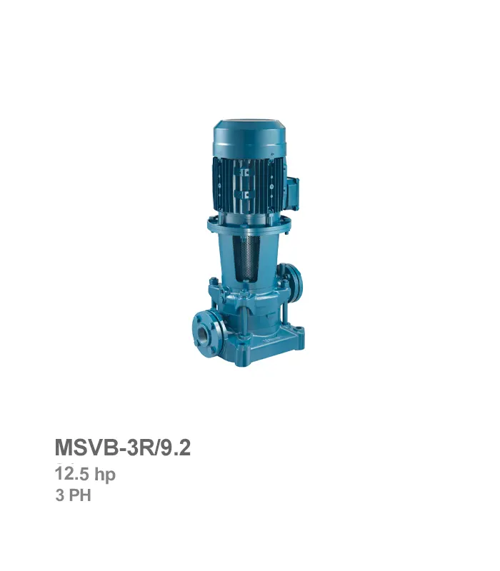پمپ طبقاتی عمودی پنتاکس مدل MSVB-3R/9.2
