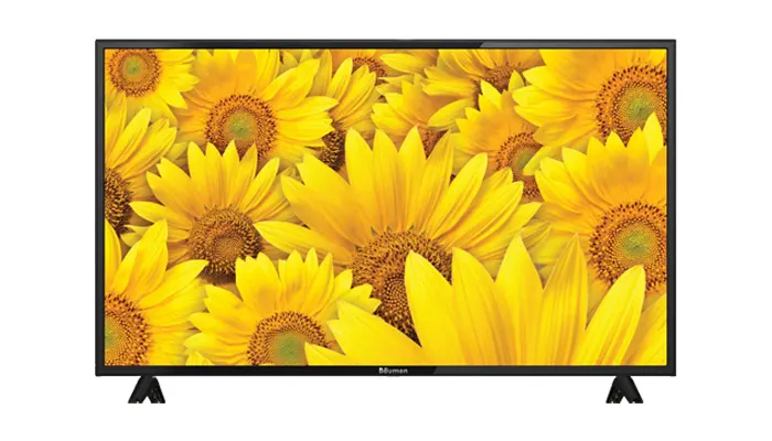 تلویزیون 42 اینچ LED بویمن مدل 42JD1100B