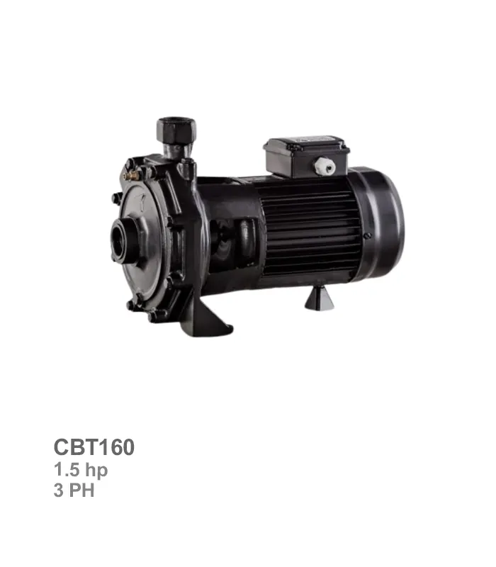 پمپ آب خانگی دو پروانه سمنان انرژی مدل CBT160