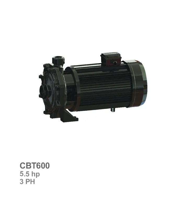 پمپ آب سه‌فاز دو پروانه سمنان انرژی مدل CBT600